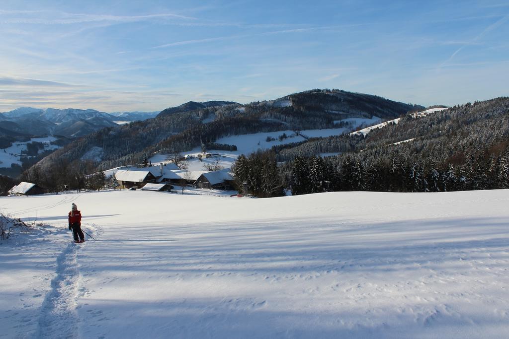 Reinsberg Hirmhof 빌라 외부 사진