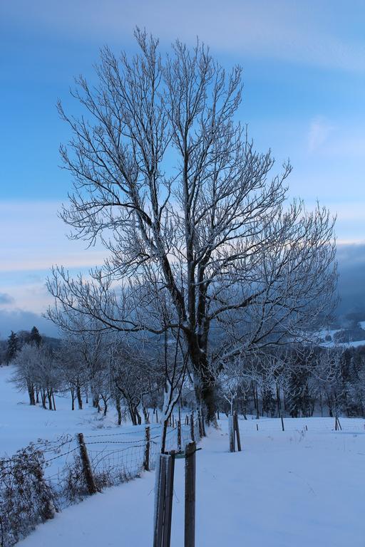 Reinsberg Hirmhof 빌라 외부 사진