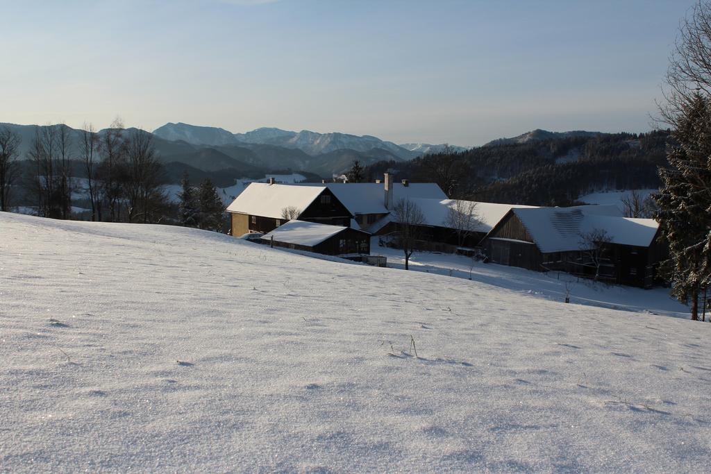 Reinsberg Hirmhof 빌라 외부 사진