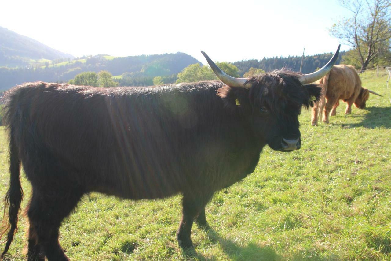 Reinsberg Hirmhof 빌라 외부 사진